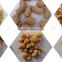High nutrition soya protein food extruder