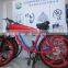 Motorized Bicycle / Cheap Motorized Bicycle