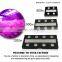 High power quality hydroponics LED Grow Lighting COB indoor growing light