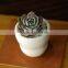 Indoor decorative white glazed small ceramic planter
