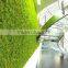 hot selling artificial plant wall artificial green wall artificial moss grass wall for decoration