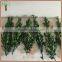 Preserved boxwood branch and stem wholesale