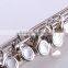 16 closed holes C key metal flute