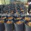 plastic root control container/pot for garden tools