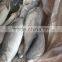 2016 High Quality Seafood Frozen Round Scad