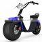 2017 zhejiang factory latest Steel quality citycoco electric ebike fat economic model