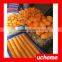 UCHOME Factory sell Food Grade Material No spill Baby Bowl