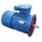 DSB (YBS) series explosion-proof motor
