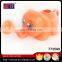 New products multicolor children plastic mini watering can for kids