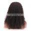 Human hair kinky curly lace wig virgin hair wigs