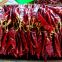 YIDU CHILLI whole in 25LB bag for Mexico and USA