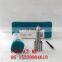 Fuel Injector Assembly Diesel Nozzle
