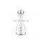 2021 Hot Sale Beauty Personal Care Face Steamer Sprayer Face with led light Humidifier  Face steamers