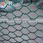 PETHexagonal Wire Mesh Agriculture Fish Farming Cage Netting