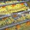 good service 300kg/h potato chips machine manufacturer