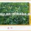 steamed distilled extracted essential mugwort oil/Blumea Oil