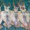 dried seafood whole squid