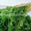 Sinocharm BRC-A Approved IQF seaweed Wholesale Seasoned Frozen Seaweed