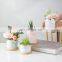 3.1 Inch Modern Marble Luxury Cylinder Flower Planter Pot Matte White Ceramic Succulent Flower Pot