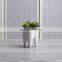 White Ceramic Planter Teeth Mini Desktop Succulent Planter Pots Tooth Flower Pots