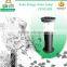 solar grass lamp outdoor