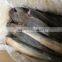 Whole Round Catfish (Silurus Asotus)