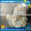 frozen giant squid neck price for sale