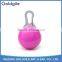 LED flash pet collar
