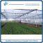 Sp-V-P Venlo polycarbonate sheet Greenhouse