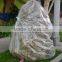 Disposable Plastic Christmas Tree Removal Bag