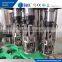Automatic Glass Bottle Juice Hot Bottling Mechanical