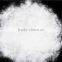 JIS L1903 60% washed white goose down