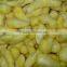 China Frozen IQF ginger peeled with best price