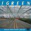 Venlo type flower multi span commercial greenhouse