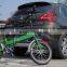 Green power mini foldable e-bike 250W brushless