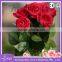 new fashion artificial rose flower for flower shop wholesale