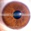 Hot in UK 5MP iris eye scanner analyzer