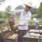 10 Frames Two Layer Langstroth Beehive Bee Hives for Sale
