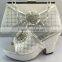 New fashion trend women shoes match bag in wonderful design for party ME3309