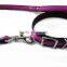 High quality easy pet training collar/pet dog collar
