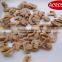 Chinese High Quality Canned Mushroom pieces and stems