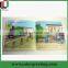 hardcover english cartoon children board book printing