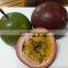Fresh Passion Fruit - High Quality and Best Price.