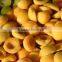 IQF peach slices factory