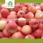 High quality fresh China fuji apple fruit for sale