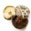 Detan Organic dried shiitake mushroom prices