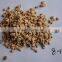 high silica growing media Diatomite /horticulture grade diatomite