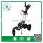 With quality warrantee 3-wheel electric Golf buggy/Cart