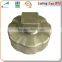 OEM Manufacturer Zinc Alloy Die Casting/Magnesium Die Casting