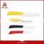Full Forged Kitchen Knives CHEF Slicer UTILITY Parer Steel Slicing Knife / funny kitchen set